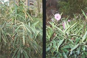 Caméra de film jetable <span class=keywords><strong>35mm</strong></span> avec dragonne Caméra de film professionnelle pour photographes - Product Image 4