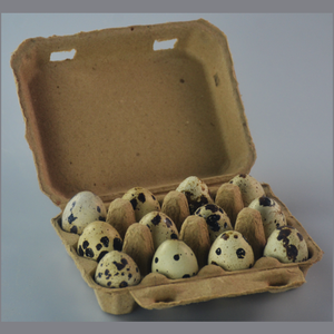 Quail Egg Pulp Carton Box Carton 12 Cells Quail Egg Paper Pulp Carton Box Reusable Egg Container For Refrigerator Market Farmers Display Filler Tray Holder