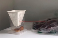Piège à mouches domestiques réutilisable en plastique pour intérieur, attrape-insectes vivants, piège à mouches à fruits