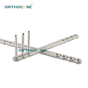 Plaque de fixation allongée en acier inoxydable de 2,7 mm pour implants orthopédiques vétérinaires pour la chirurgie canine et des animaux de grande taille - Product Image 4