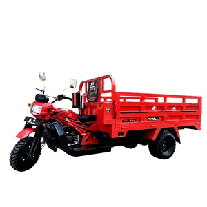 DAYANG 300cc Motorcycle Tricycle 5 Wheel Cargo for Adult Car Red Body Spring Steel Box Frame Power Battery Engine Plate