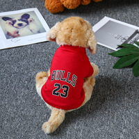 JXANRY sweat à capuche pour animaux de compagnie printemps et automne épais chaud chien vêtements chat vêtements hiver sport à capuche mode Teddy fourrure dorée