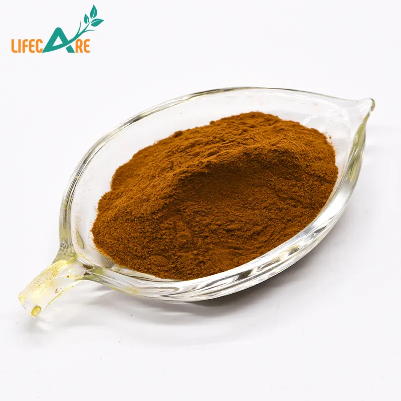 100% Pure and Natural Cosmetic Ingredients Rose Hip Fruit Extract Best Price
