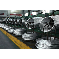 Fabrieksprijs 14-26 Gauge Elektrische Gegalvaniseerde Ijzerbinddraad Q195 5Kg-25Kg Gegalvaniseerde Staaldraad