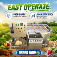 Groentewasdroogmachine Goedkoopste Groente-En Fruitwasmachine