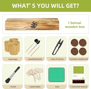Kit de démarrage portable <span class=keywords><strong>pour</strong></span> bonsaï au design Art Déco haut de gamme, boîte cadeau en bois, tapis de repotage, pots en toile de jute, outils de jardinage <span class=keywords><strong>pour</strong></span> adultes - Product Image 2