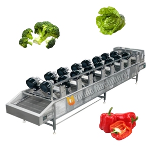 200-300 kg/h Laveuse <span class=keywords><strong>automatique</strong></span> <span class=keywords><strong>de</strong></span> fruits et légumes Technologie <span class=keywords><strong>de</strong></span> bulles d'air Machines à laver à bon <span class=keywords><strong>prix</strong></span> - Product Image 4