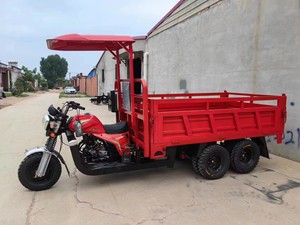 Nouveau modèle 2026 – Tricycle motorisé à 9 roues, moteur 350 CC refroidi par eau, grande puissance, pour le transport de marchandises (Tuk-Tuk) - Product Image 5