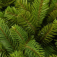 Sapin de Noël Artificiel Réaliste 1,8m 2,1m 2,4m Profil Complet PE PVC Sapin Vert Mixte avec Support Métallique Pliable