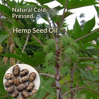 Huile de ricin biologique certifiée à base de plantes, pressée à froid, origine Jiangxi, emballage extérieur neutre disponible, plusieurs formats
