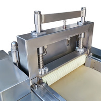 380V 220V 1,5KW 150-1000KG/H 2-25MM RVS Commerciële Fruit Snijmachine