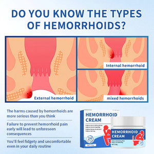 Crema bacteriostática chinesa de venta caliente para hemorroides: alivia el dolor, la sangre <span class=keywords><strong>en</strong></span> el ano, la hinchazón y las fisuras anales, Clase I - Product Image 3