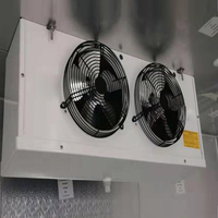 Cámara Frigorífica Solar Independiente de 40 pies con Compresor Daikin para Almacenamiento Comercial de Alimentos