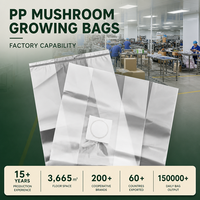 Sacs filtrants en polypropylène pour la culture de champignons, sacs de culture de mycélium en PP, vente chaude