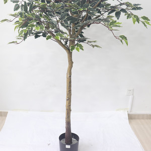 ต้นไทรเบนจามิน่าประดิษฐ์พับได้ ขนาด 180 ซม. ลำต้นธรรมชาติ ใบเหมือนจริง สัมผัสธรรมชาติ เหมาะสำหรับตกแต่งบ้าน สำนักงาน - Product Image 4