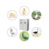 Prix de l'incubateur à œufs / Machine d'incubation pour volailles / Machine d'éclosion de poulets à prix avantageux