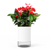 Mini purificateur d'air d'intérieur innovant, au design moderne, avec des tasses de croissance de plantes en forme de fleur de bureau créatives