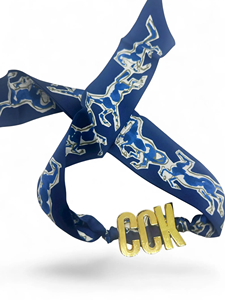 Pañuelo Personalizado con Nombre, Choker, Accesorio con Iniciales, para Mujer, Banda para el Cabello, Correa para Bolso, Uso Diario y para Fiestas - Product Image 6