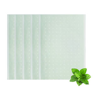 Patch d'usine OEM pour la douleur Re.lief Patch menthol pour la douleur transdermique Re.lieving Patch CE approuvé - Product Image 1