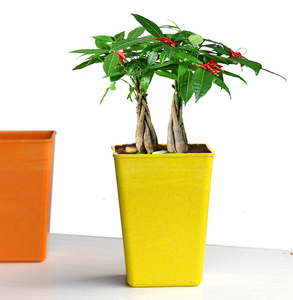 Petit <span class=keywords><strong>pot</strong></span> de fleurs d'intérieur <span class=keywords><strong>rectangulaire</strong></span> en plastique fibre de <span class=keywords><strong>bambou</strong></span> bon marché en gros - Product Image 2