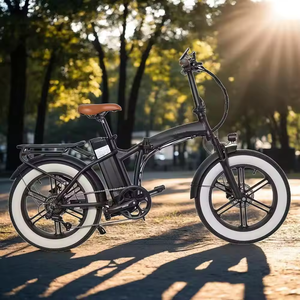 Vélo de montagne électrique en aluminium 36V 11Ah Batterie au lithium 250W 20*4 Inch <span class=keywords><strong>Fat</strong></span> Tire e <span class=keywords><strong>bike</strong></span> <span class=keywords><strong>Fat</strong></span> Tire e-<span class=keywords><strong>bike</strong></span> 50-60KM - Product Image 3