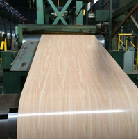 Hochwertiges kunden spezifisches Muster PPGI vor lackierte verzinkte Stahls pule Hot Sale Color Coated Steel Coil Produkt