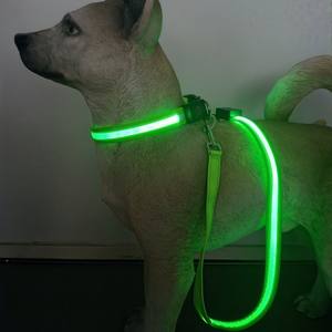 Laisse pour <span class=keywords><strong>chien</strong></span> LED, laisse pour <span class=keywords><strong>chien</strong></span> lumineuse, entièrement éclairée, rechargeable par USB, imperméable, en nylon réfléchissant, avec poignée rembourrée - Product Image 1