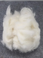 Nouvelle Nature blanc et noir laine fibre cardée laine de mouton déchets lavé laine Noils pour tapis fil feutre