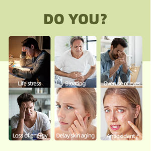 优质有机健康纯天然批发护肝茶 OEM/ODM 草药茶袋 100% 天然顶级品质安全 - Product Image 2