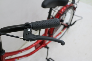 Princesa <span class=keywords><strong>bicicleta</strong></span> de montaña <span class=keywords><strong>20</strong></span> pulgadas freno de disco de una sola velocidad marco duro Pedal ordinario cuesta abajo ligero adulto MTB - Product Image 6