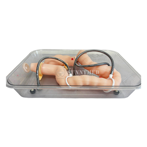 Modèle de formation de coloscopie virtuelle douce de la science médicale pour l'enseignement du modèle d'organe colonique de simulation douce - Product Image 2