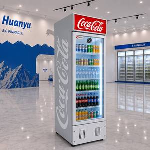 Refrigerador vertical <span class=keywords><strong>de</strong></span> 300L, exhibidor <span class=keywords><strong>de</strong></span> bebidas y helados, congelador eléctrico económico, superventas - Product Image 5