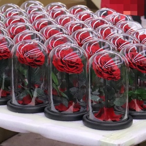 Rosa Eterna Preservata all'Ingrosso in Cupola <span class=keywords><strong>di</strong></span> Vetro con LED <span class=keywords><strong>Il</strong></span> <span class=keywords><strong>Piccolo</strong></span> <span class=keywords><strong>Principe</strong></span> per la Festa della Mamma - Durata 3-5 Anni - Product Image 5
