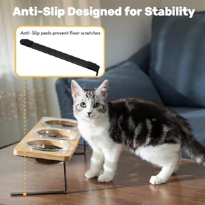 Bols portables écologiques surélevés pour chats, 15 bols inclinés pour aliments, comprenant 3 bols <span class=keywords><strong>en</strong></span> <span class=keywords><strong>verre</strong></span>, plateau <span class=keywords><strong>en</strong></span> bambou, support <span class=keywords><strong>en</strong></span> bambou pour chats et chiots - Product Image 2