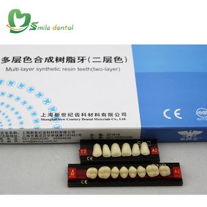 Dents en résine acrylique à deux couches, prothèses dentaires en résine synthétique - Product Image 3