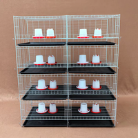 Vente Directe Fabricant Garantie Un An Poulailler Grande Cage à Poulets Équipement Avicole pour Poules Pondeuses Élevage de Poulets