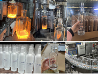 Bouteilles à liqueur en verre transparent de 500 ml et 750 ml, bouteilles à spiritueux vides avec bouchon en liège pour vodka, gin, rhum, whisky, brandy