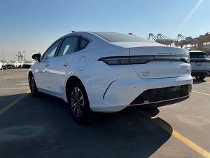 Auto Eléctrico BYD Destroyer 05 2024 de Cuatro Ruedas - Product Image 3