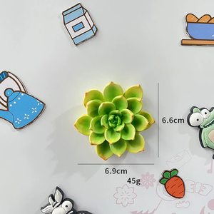 Magneti per Frigorifero in Resina 3D con Fiori, Design Botanici Assortiti (<span class=keywords><strong>Girasole</strong></span>, Rosa), Personalizzazione OEM di Logo e Confezione, Decorazione per la Casa - Product Image 4