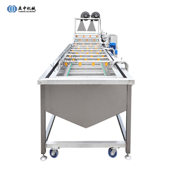 Factory Price Vegetable Washer Fruit Washing