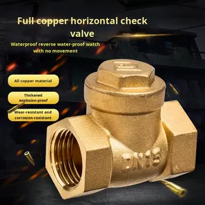 Dingjian 20 PPR 1/2 \ "3/4 \" ทองแดงทั้งหมด, PE มิเตอร์น้ำตรวจสอบวาล์วทางเดียวที่ไม่ไหลกลับน้ำมันละลายแก๊สแนวตั้งโถส้วม - Product Image 3