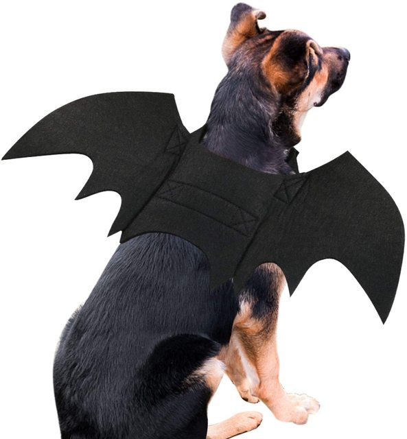 Halloween Party Pet Costume Bat Wings Cosplay Dog Bat Costume