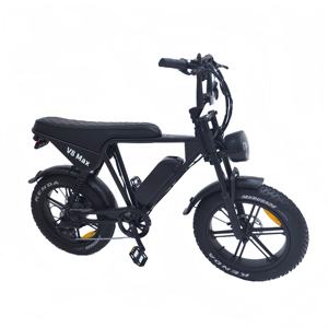 Nederland 48V électrique VTT Fatbike prêt à l'emploi 24-20 pouces gros pneu Ebike moto Tube <span class=keywords><strong>pas</strong></span> <span class=keywords><strong>cher</strong></span> EU électriquement prêt vélo - Product Image 4