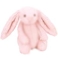 Peluche esthétique Jelly Cats, 500 designs uniques, jouet en peluche animal, lapin Bashful, divers pendentifs, sac bandoulière en peluche