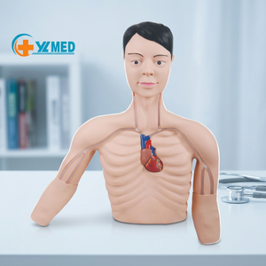 Simulador de Intervención PICC, Maniquí de Catéter <span class=keywords><strong>Venoso</strong></span> Periférico y <span class=keywords><strong>Central</strong></span>, Ayuda para la Educación y Entrenamiento, CE/ISO - Product Image 1
