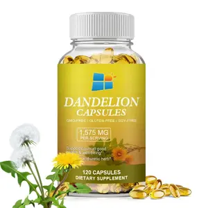 OEM/ODM/OBM Herbal Dandelion Vegan Capsule Non-GMO Dandelion Root Extract Capsule For Improve Liver Function Health