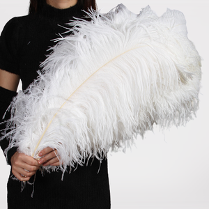 Lông đà điểu trắng tự nhiên trang trí bán buôn, kích thước 40-80 cm, dùng làm vật trang trí trung tâm đám cưới - Product Image 1