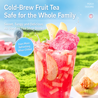 Instant FD Perzik Oolong Thee Blokjes met Echt Fruitpuree Gefreeze-droogde Fruitthee Blok OEM Private Label 125g