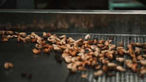 Línea de Descascarillado de Anacardos Tipo 1, Cabezal de Corte de 3 Cuchillas, Capacidad 70-100 kg/h, Totalmente Automática, Alta Calidad - Product Image 6