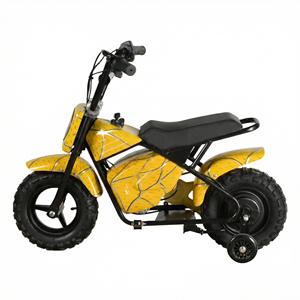มอเตอร์ไซค์วิบากคุณภาพสูง MAXSPEED 250DH PRO สำหรับผู้เริ่มต้น 350W มอเตอร์ไร้แปรงถ่าน แบตเตอรี่ลิเธียม 36V มินิ ความเร็วต่ำกว่า 40 กม./ชม. มอเตอร์แบบแปรงถ่าน 35 - Product Image 3